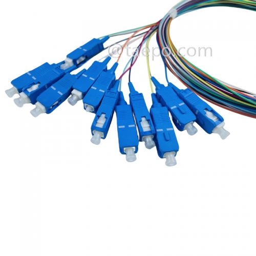 Singlemode 12 fibras SC/UPC Fiber Optic Fanot Pigtail con buen precio