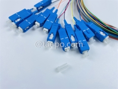 Singlemode 12 fibras SC/UPC Fiber Optic Fanot Pigtail con buen precio