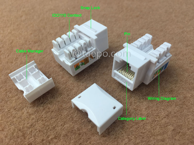 Imágenes ilustrativas para conector Keystone, CAT6, UTP, 8P8C, 90 grados, estilo AP